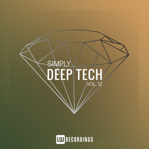 VA - Simply Deep Tech, Vol. 12 [LWSIMPLYDT12]